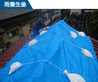 崩壊した棟瓦をブルーシートで養生