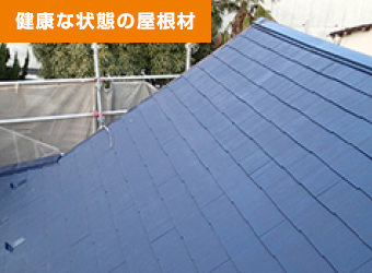 健康な状態の屋根材