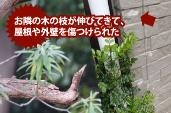 木の枝が伸びてきて外壁や屋根を傷つけられた