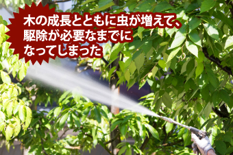 害虫駆除が必要になった