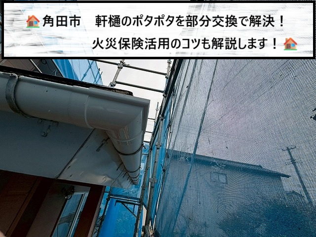 【玄関の雨漏り？】角田市　軒樋のポタポタを部分交換で解決！火災保険活用のコツも解説