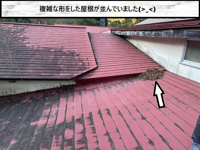 栗原市　複雑な形の屋根が並んでいる様子