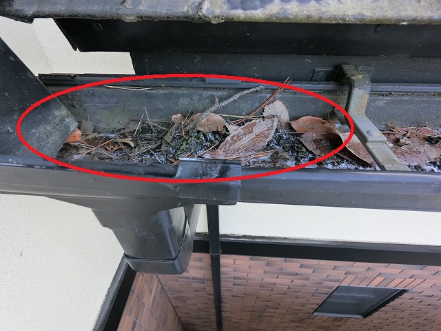 仙台市泉区 雨樋点検