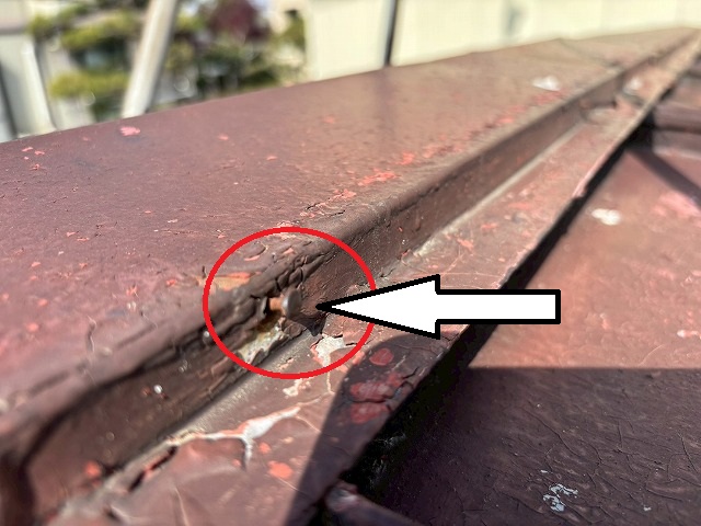 仙台市宮城野区　棟板金を固定している釘が浮いている