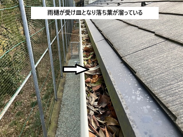 仙台市宮城野区　軒樋の中に落ち葉が溜っている様子