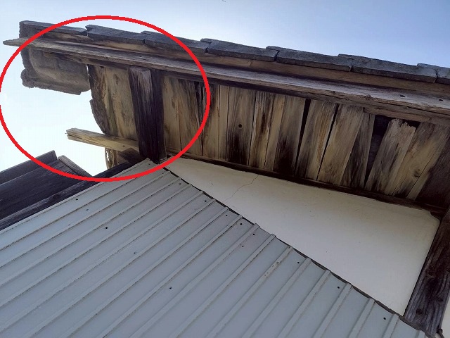 大崎市　セメント瓦が落下し木下地が腐食している様子