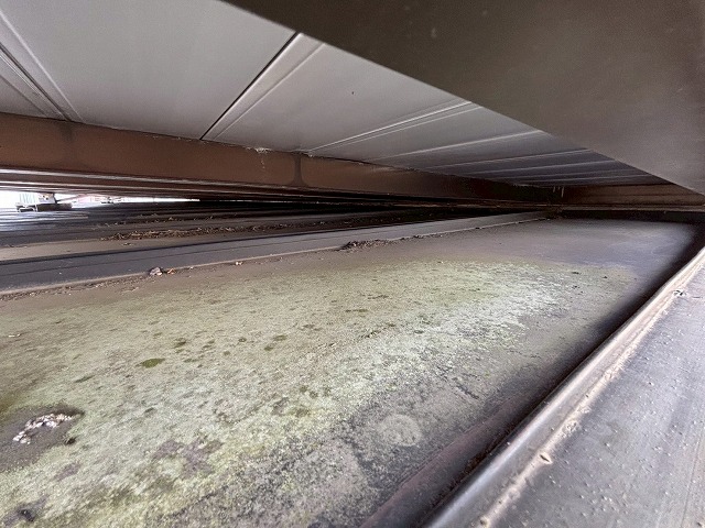 仙台市泉区　バルコニー下の屋根の表面に苔が生えている様子