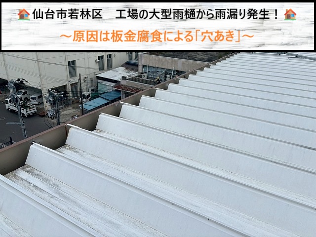 仙台市若林区｜工場の大型雨樋から雨漏り発生！原因は板金腐食による「穴あき」
