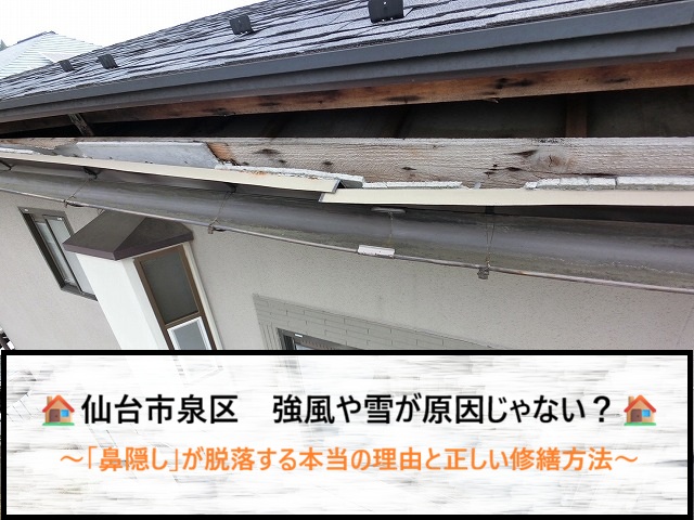 仙台市泉区　強風や雪が原因じゃない？「鼻隠し」が脱落する本当の理由と正しい修繕方法