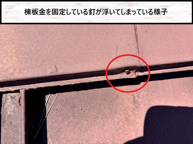 仙台市太白区　棟板金の木下地の伸縮により釘は浮いている