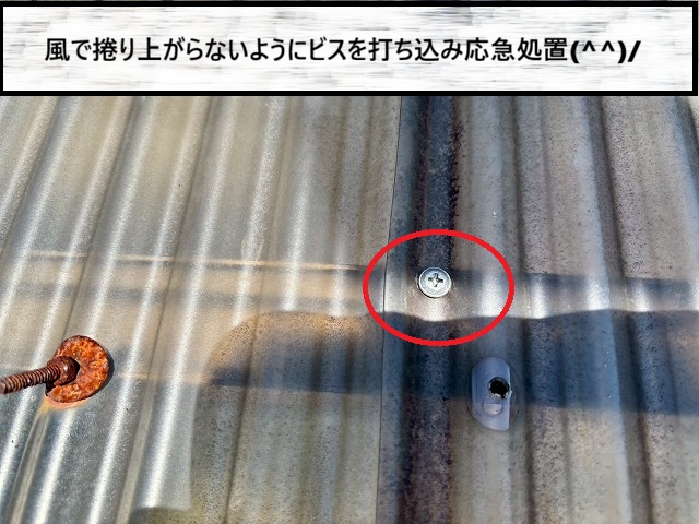 仙台市太白区　飛ばされないようにビスを打ち込み応急処置を行った