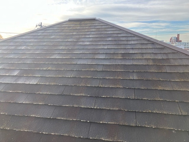 仙台市若林区　カバー工事前の苔・カビが発生