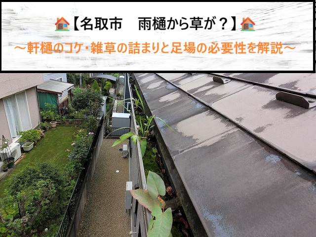 【名取市】雨樋に草やコケが生える原因とは？詰まりのリスクと足場の必要性を解説