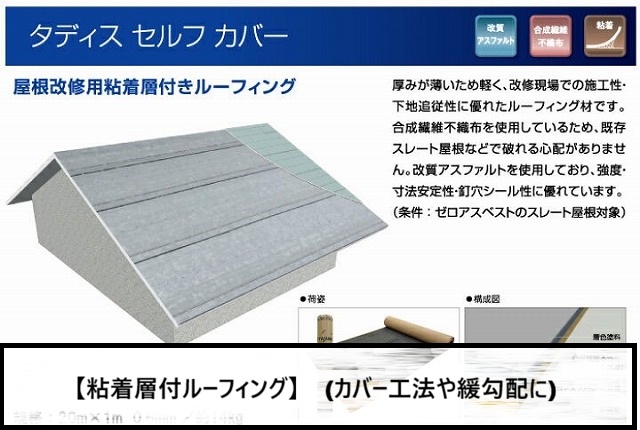 TAJIMAタディスセルフカバー説明