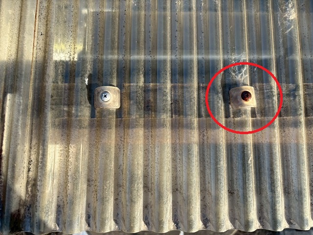 仙台市宮城野区　ポリカ波板を固定している傘ビスが錆びている