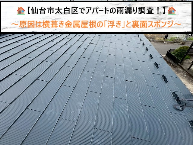 仙台市太白区でアパートの雨漏り調査！原因は横葺き金属屋根の「浮き」と裏面スポンジ