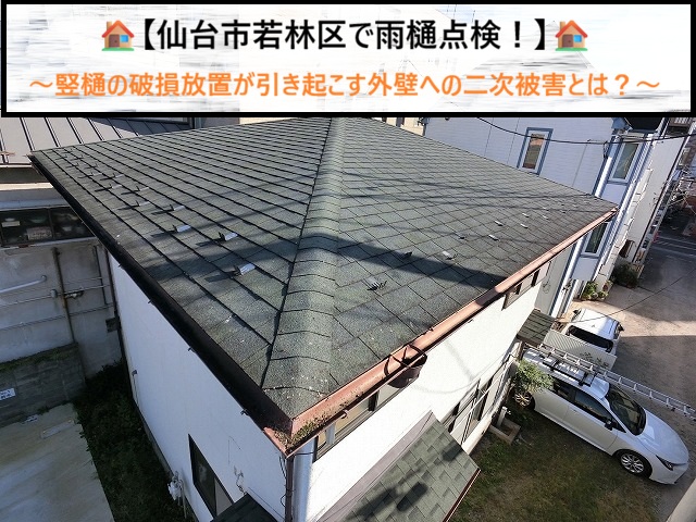 仙台市若林区　竪樋の破損を放置すると危険？外壁のコケ・カビ・雨漏りを招く恐怖