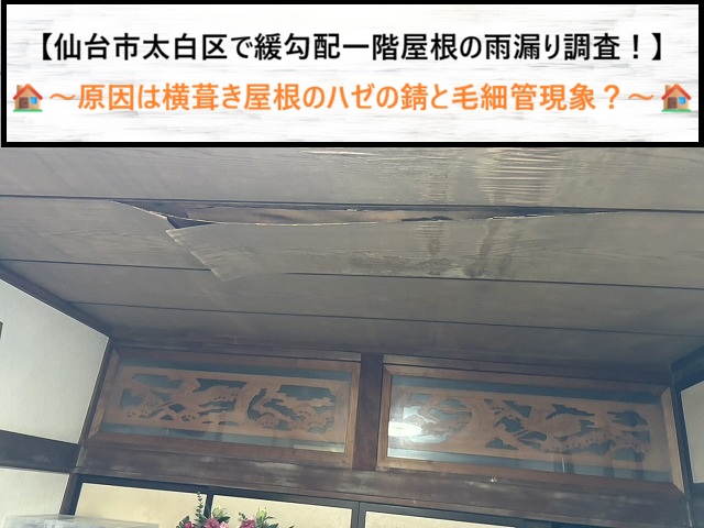仙台市太白区で1階屋根の雨漏り調査！横葺きトタンのハゼ錆と毛細管現象