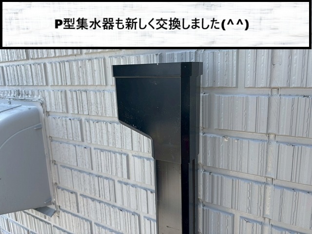仙台市泉区　竪樋の部材　P型集水器も交換した