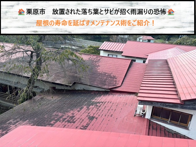 栗原市　放置された落ち葉とサビが招く雨漏りの恐怖　屋根の寿命を延ばすメンテナンス術