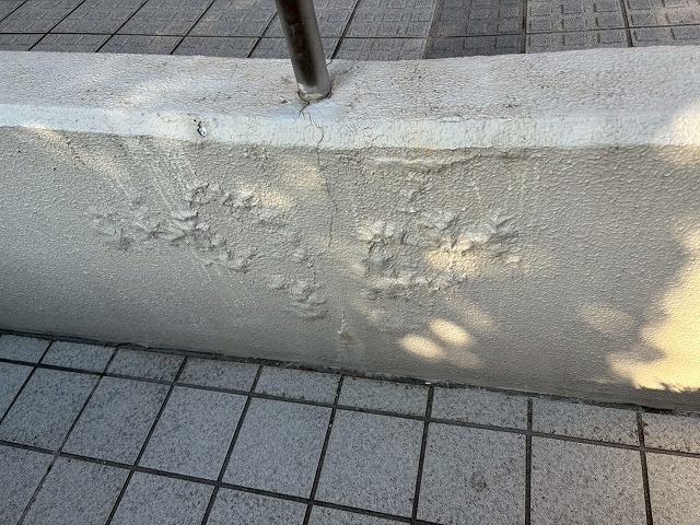 仙台市太白区 マンション スロープ修繕工事 亀裂