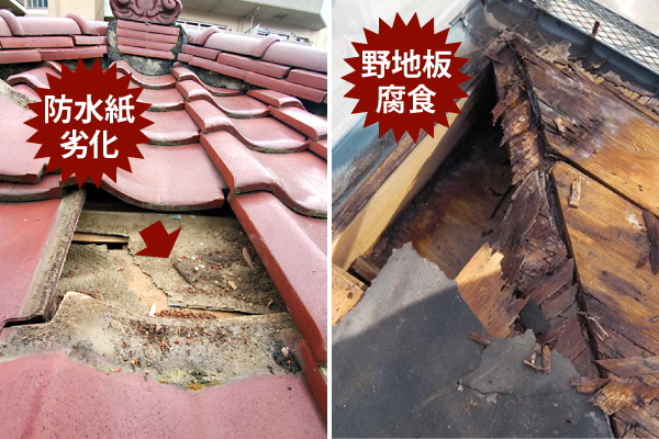防水紙劣化、野地板腐食