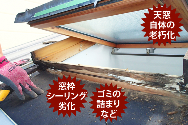天窓自体の老朽化、窓枠シーリングの劣化、ゴミの詰まりなど