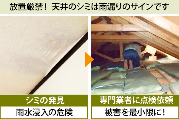 放置厳禁！ 天井のシミは雨漏りのサインです