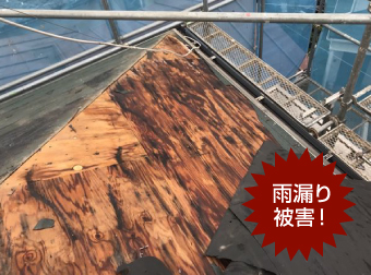 雨漏り被害！