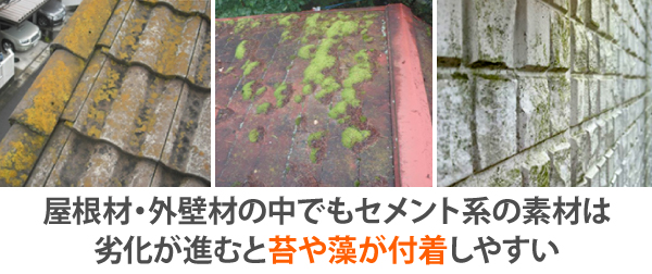屋根材・外壁材の中でもセメント系の素材は劣化が進むと苔や藻が付着しやすい