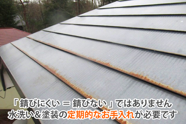「 錆びにくい ＝ 錆びない 」ではありません水洗い＆塗装の定期的なお手入れが必要です