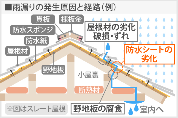 雨漏りの発生原因と経路