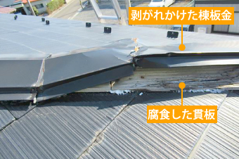 剥がれかけた棟板金の下から、腐食した貫板が見えています