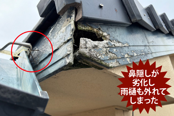 鼻隠しが劣化し雨樋も外れてしまった